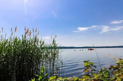 Naturlandschaft in der Nähe der Ferienwohnung