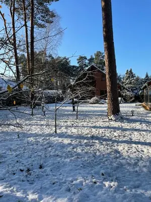 Auf der Heide - Ferienhaus für 6 Personen im Winter
