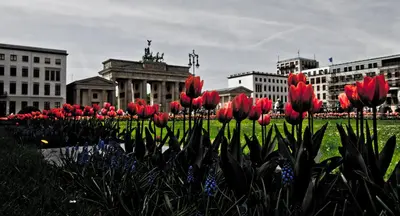 Ein Garten an der Unterkunft BNB Potsdamer Platz - Rooms & Apartments
