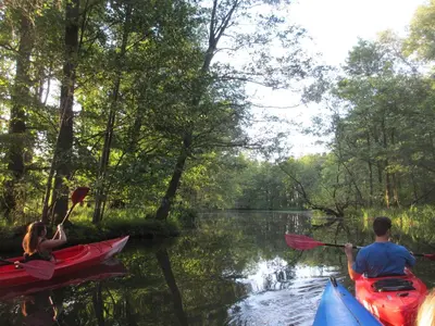 Naturlandschaft in der Nähe der Ferienwohnung