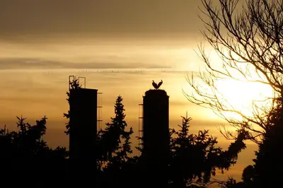 Blick auf den Sonnenuntergang/Sonnenaufgang von der Ferienwohnung aus oder aus der Nähe