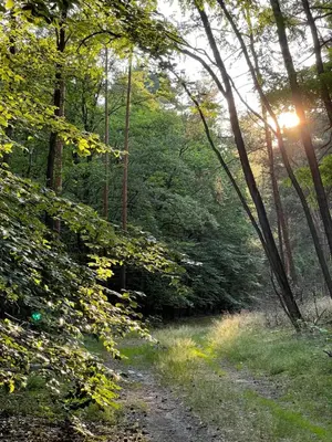 Naturlandschaft in der Nähe der Ferienwohnung