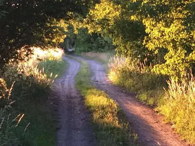 Naturlandschaft in der Nähe der Ferienwohnung