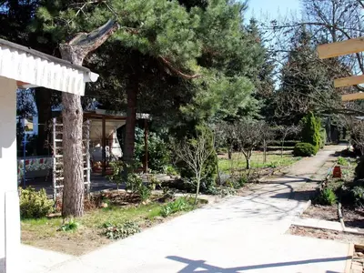 Ein Garten an der Unterkunft Bungalow Gartenidyll, Berlin