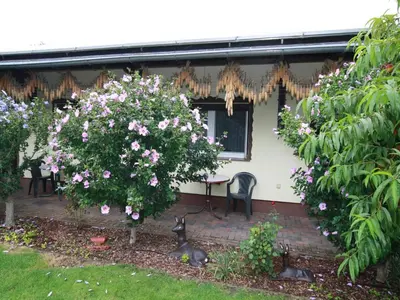 Ein Garten an der Unterkunft Reihenhaus in Lübben an der Spree