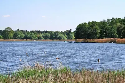 Naturlandschaft in der Nähe des Ferienhauses