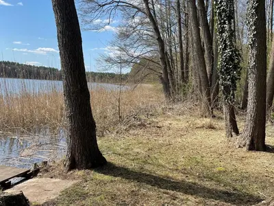 Naturlandschaft in der Nähe des Ferienhauses