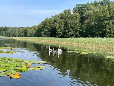 Naturlandschaft in der Nähe des Ferienhauses