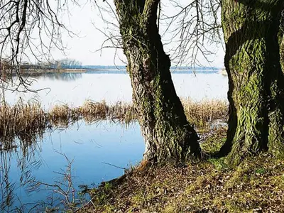 Naturlandschaft in der Nähe der Ferienwohnung