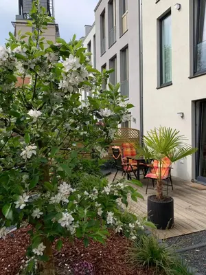 Ein Garten an der Unterkunft Townhouse Apartment Potsdam
