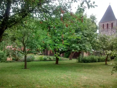 Ein Garten an der Unterkunft Herberge im 