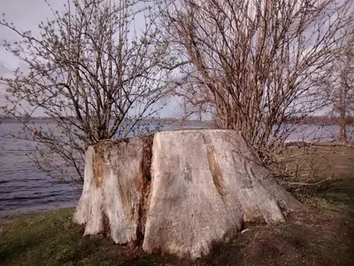 Naturlandschaft in der Nähe der Ferienwohnung