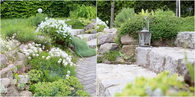 Ein Garten an der Unterkunft Ferienhaus Friedrichswalde