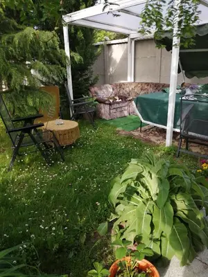 Ein Garten an der Unterkunft Kleines Haus im Oderbruch