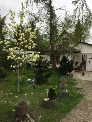 Ein Garten an der Unterkunft Kleines Haus im Oderbruch