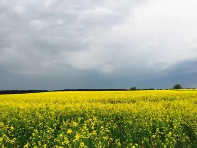 Naturlandschaft in der Nähe des Ferienhauses