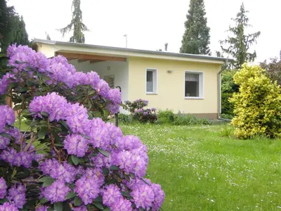 Ein Garten an der Unterkunft Sommerhaus im Grünen