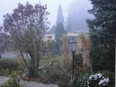 Ein Garten an der Unterkunft Sommerhaus im Grünen