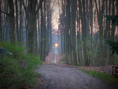 Naturlandschaft in der Nähe der Ferienwohnung