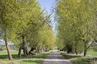 Naturlandschaft in der Nähe der Ferienwohnung