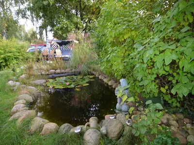 Naturlandschaft in der Nähe der Ferienwohnung
