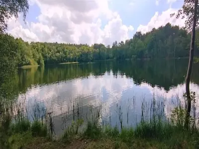Naturlandschaft in der Nähe des Ferienhauses