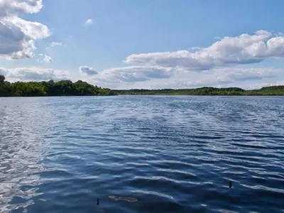 Naturlandschaft in der Nähe des Ferienhauses