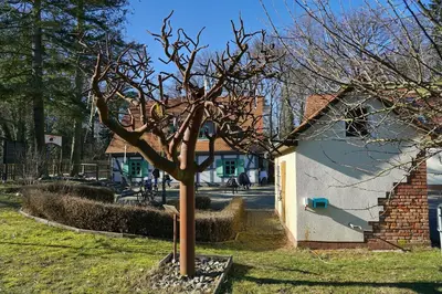 Ein Garten an der Unterkunft Apartment 4 - Gourmetzimmer