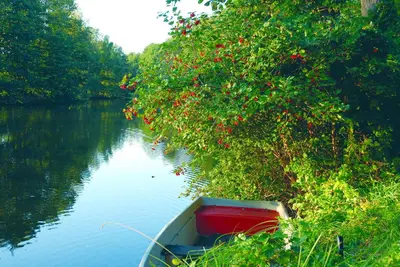 Naturlandschaft in der Nähe des Hotels