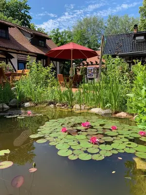 Ein Garten an der Unterkunft Luisenhof