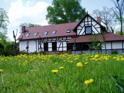 Ein Garten an der Unterkunft Luisenhof