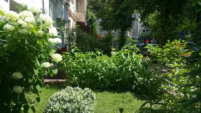 Ein Garten an der Unterkunft Pension Tempelhof