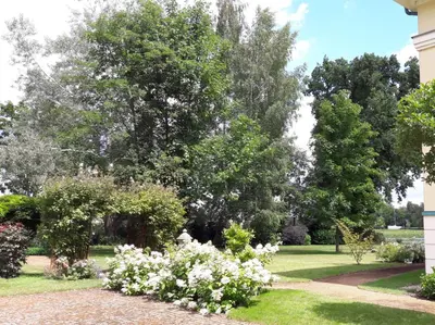 Ein Garten an der Unterkunft FeWo Havelpalais direkt am Wasser