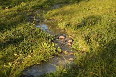 Naturlandschaft in der Nähe der Ferienwohnung