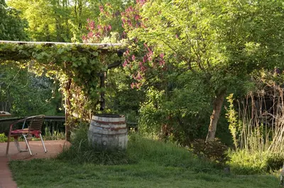 Ein Garten an der Unterkunft Große Ferienwohnung in Peetzig am See