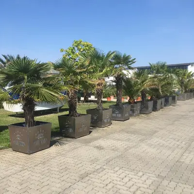 Ein Garten an der Unterkunft Havel Marin GmbH