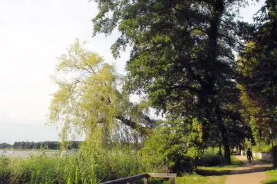 Naturlandschaft in der Nähe des Bed & Breakfasts
