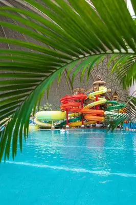 Der Swimmingpool an oder in der Nähe von Tropical Islands Campingplatz