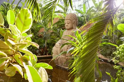 Ein Garten an der Unterkunft Tropical Islands Campingplatz