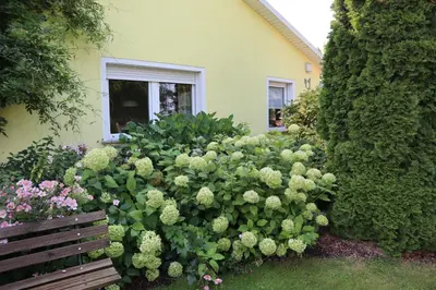 Ein Garten an der Unterkunft Ferienwohnung Lotte