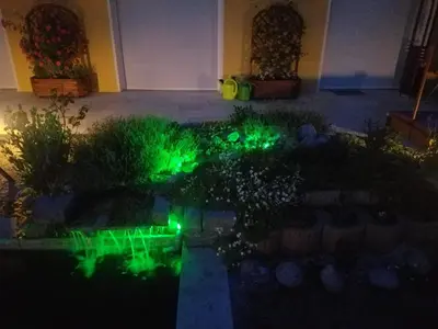 Ein Garten an der Unterkunft Ferienhaus zum Imker