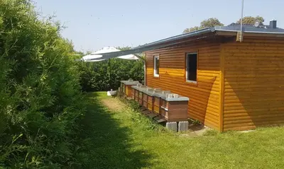 Ein Garten an der Unterkunft Ferienhaus zum Imker