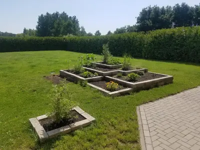 Ein Garten an der Unterkunft Ferienhaus zum Imker