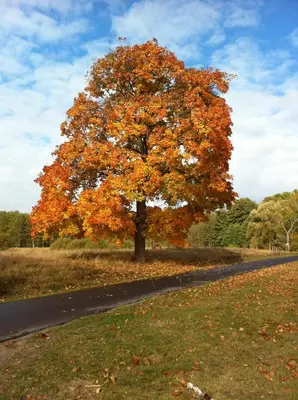 Naturlandschaft in der Nähe des Ferienhauses