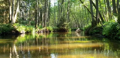 Naturlandschaft in der Nähe des Ferienhauses