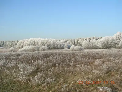 Naturlandschaft in der Nähe des Ferienhauses