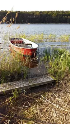 Blick auf einen Fluss in der Nähe der Ferienwohnung