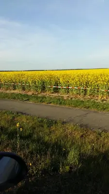 Naturlandschaft in der Nähe der Ferienwohnung