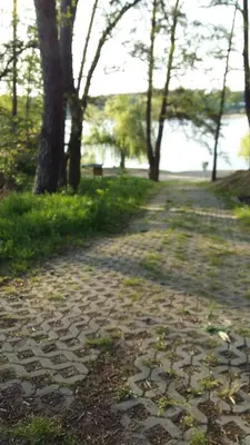 Naturlandschaft in der Nähe der Ferienwohnung