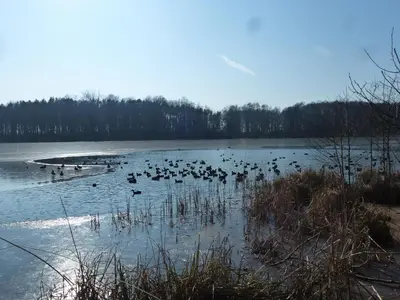 Naturlandschaft in der Nähe der Ferienwohnung